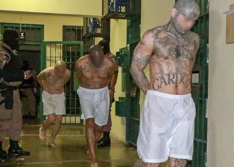 Gobierno combate terroristas de manera frontal después de 30 años de haberse generado el problema