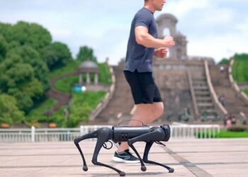 El nuevo perro-robot futurista que puede salir a correr a tu lado y llevarte una botella de agua