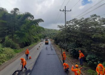 Avanzan trabajos de reconstrucción de carretera de la Ruta de las Flores