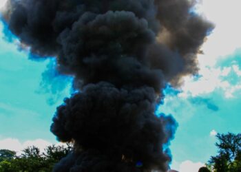 Droga valorada en más de $160,000 es destruida por autoridades de FGR y PNC