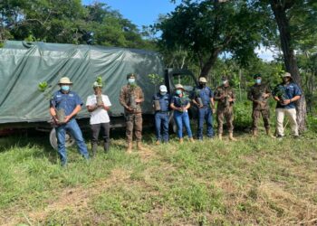 Fuerza Armada apoya campaña de reforestación «Árboles para El Salvador»