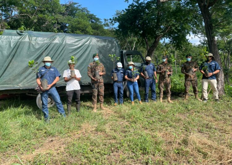 Fuerza Armada apoya campaña de reforestación «Árboles para El Salvador»