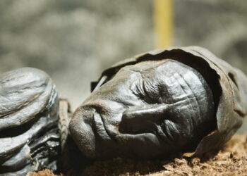 Revelan qué comió por última vez el ‘hombre del pantano’ antes de ser sacrificado en un ritual hace 2.400 años