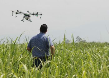 Ministerio de Agricultura y Ganadería anuncia la creación de la Dirección de Inteligencia Agropecuaria