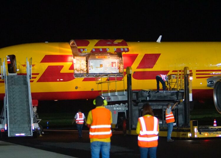 Llega al país nuevo lote de vacunas anti COVID-19 de la farmacéutica Pfizer