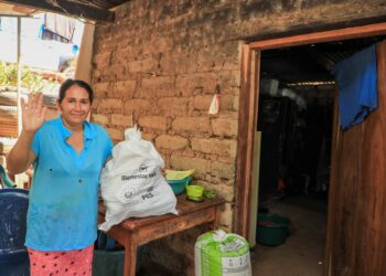 Gobierno entrega paquetes alimentarios en Santa Ana