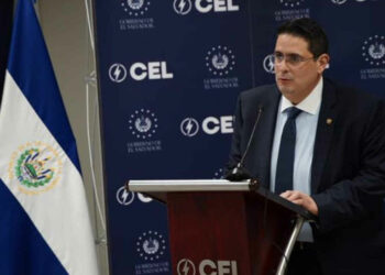 Daniel Álvarez: CEL y sus subsidiarias: ¡Caja chica nunca más!