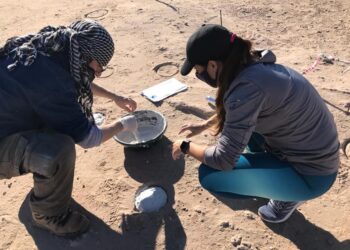 En Argentina hallan nidos de huevos de aves que vivieron hace unos 85 millones de años