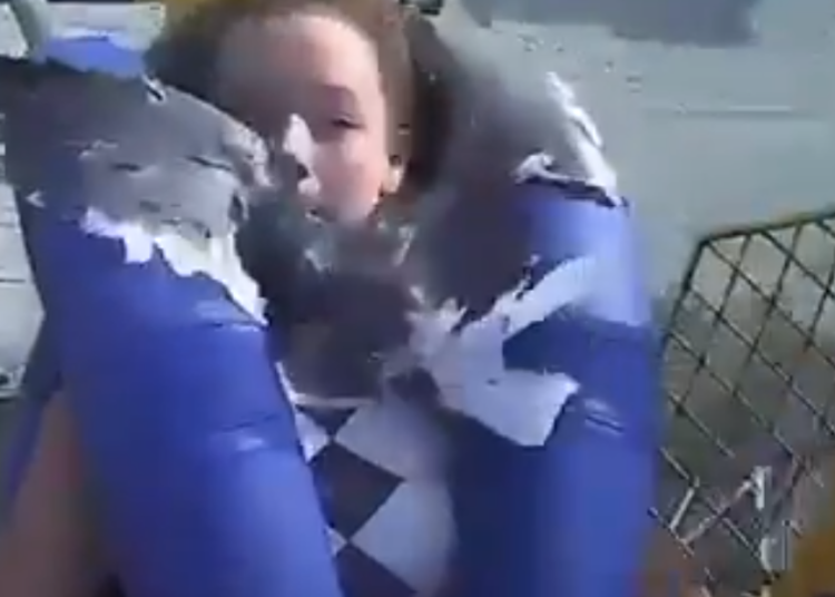 Una adolescente choca con una gaviota en pleno viaje en un juego mecánico