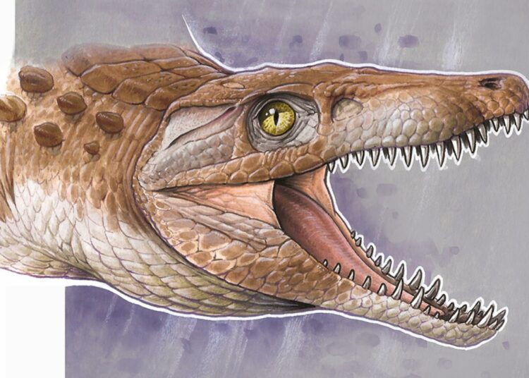 Paleontólogos chilenos y argentinos descubren restos del «abuelo» de los cocodrilos modernos de 148 millones de años