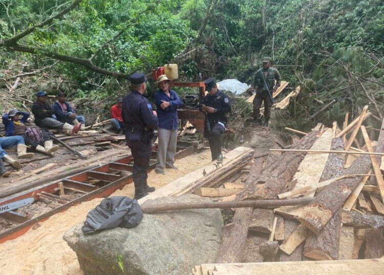 PNC y FAES ubican a hondureños y salvadoreños mientras talaban ilegalmente árboles en Chalatenango