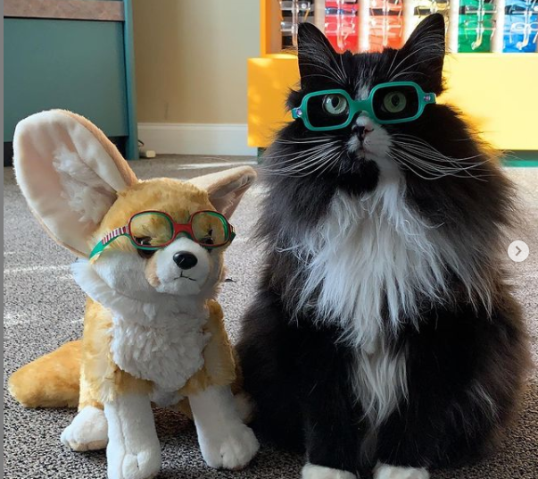 (VIDEO) Una gata que ‘trabaja’ en una clínica oftalmológica infantil ayudando a los niños a relajarse conquista la Red