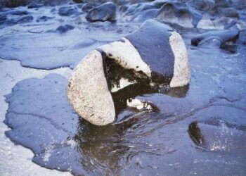 Encuentran en el Ártico bacterias que descomponen el petróleo y el diésel