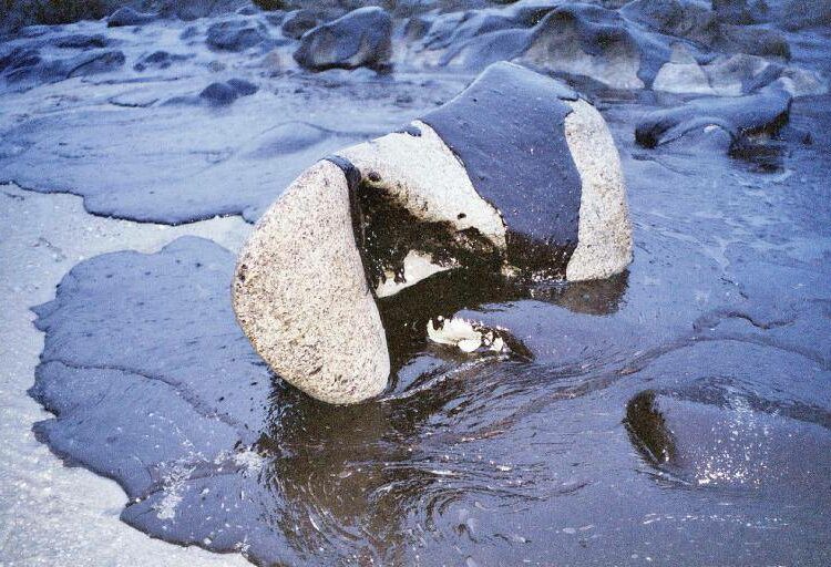 Encuentran en el Ártico bacterias que descomponen el petróleo y el diésel