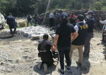 Autoridades destruyen 1,370 kilos de cocaína que iban rumbo a México