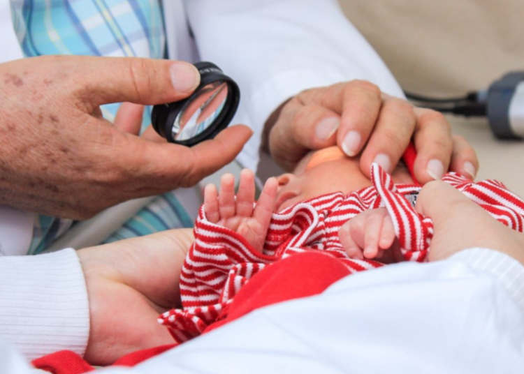 Imagen de Referencia