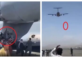 El dramático relato del padre de un joven médico que intentó huir a EE.UU. y cayó del avión en Kabul