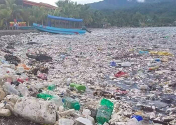 Honduras denunciaría a Guatemala por daño ambiental en el Caribe