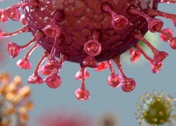 Hallan el “talón de Aquiles” del SARS-CoV-2: ¿Se abre la puerta a un tratamiento contra el COVID-19?