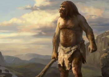 Científicos descubren que los neandertales tenían varios tipos de sangre al igual que los humanos modernos