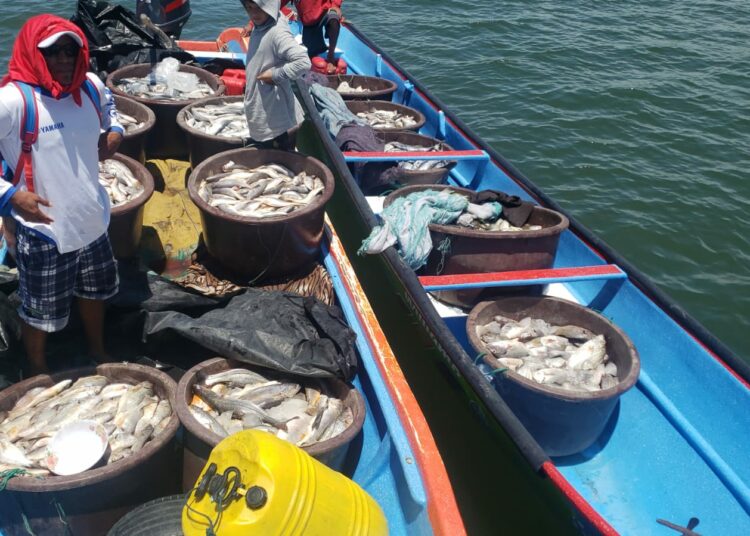 Fuerza Armada intercepta pescadores con 4 mil libras de pesca ilegal en La Unión