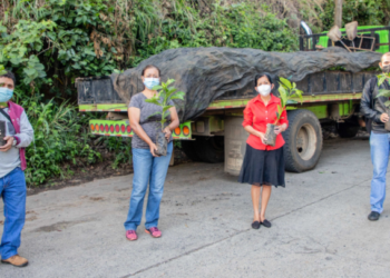 MAG entrega más de 30 mil plantas de café en Altos de Tenerife, Santa Tecla