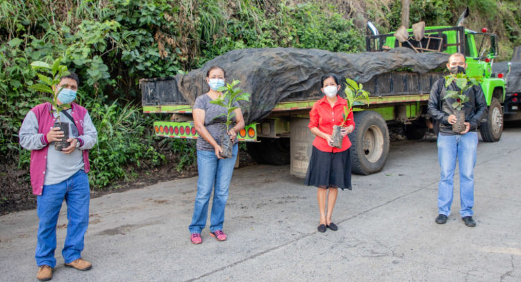 MAG entrega más de 30 mil plantas de café en Altos de Tenerife, Santa Tecla
