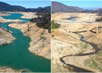 La sequía en California pone en jaque el suministro de alimentos en gran parte de EE. UU.