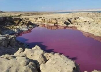 Un estanque se tiñe de rojo cerca del mar Muerto por una causa desconocida