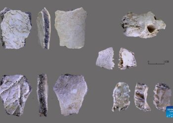 Encuentran en China el fósil de un cráneo humano de 32.000 años de antigüedad