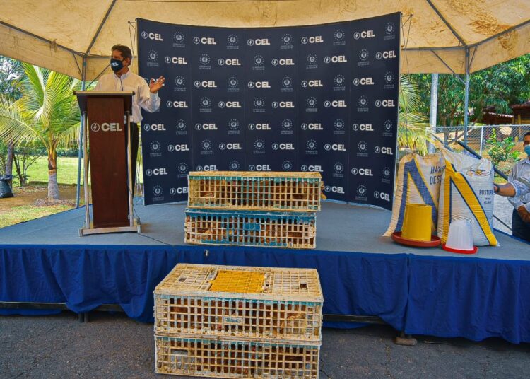 CEL apuesta por la seguridad alimentaria