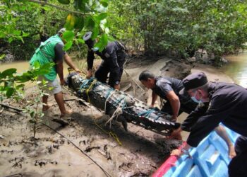 Agentes de la PNC y elementos del MARN rescataron a un cocodrilo americano que quedó atrapado entre las redes de unos pescadores