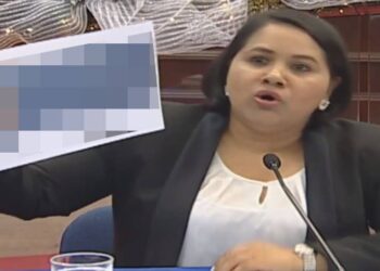 Condenan a exdiputada del FMLN, Cristina Cornejo, a pagar 40 salarios mínimos por publicar datos personales del ministro de Hacienda