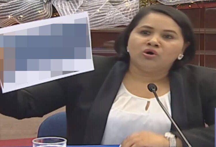 Condenan a exdiputada del FMLN, Cristina Cornejo, a pagar 40 salarios mínimos por publicar datos personales del ministro de Hacienda