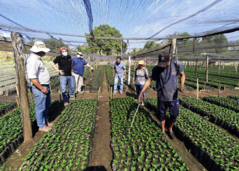 MAG iniciará campaña de capacitación para productores agrícolas sobre el funcionamiento del Bitcóin