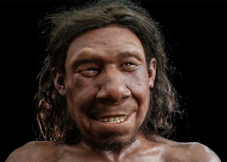 Científicos reconstruyen el rostro sonriente de un neandertal de más de 50.000 años hallado en Países Bajos