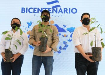 CEL lanza campaña de reforestación en el marco del Bicentenario con la plantación de más de medio millón árboles