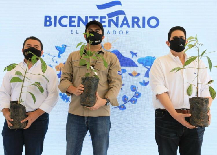 CEL lanza campaña de reforestación en el marco del Bicentenario con la plantación de más de medio millón árboles