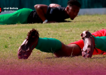 (VIDEO) Abejas atacan a los jugadores y paralizan un partido de fútbol en Bolivia