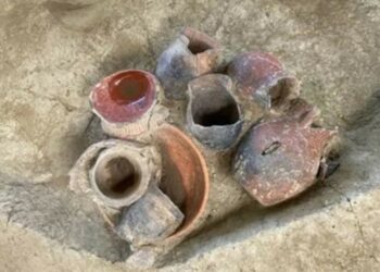 Investigadores hallan evidencias de que en el sur de China se bebía cerveza hace 9.000 años