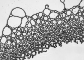 (VIDEO) Un grupo de físicos crea gotas cuadradas usando campos eléctricos