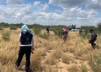 Hallan un crematorio clandestino en México con restos humanos calcinados