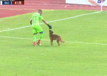 (VIDEO) Un perro interrumpió el clásico del fútbol de Honduras, lo quisieron sacar y mordió al arquero