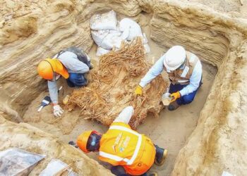 Hallan en Perú una tumba común de 800 años con los restos de ocho personas acompañados de instrumentos musicales y alimentos
