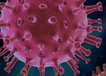 La OMS analiza la nueva variante Mu del coronavirus detectada por primera vez en Colombia