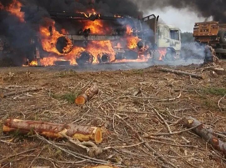 (VIDEO) Encapuchados armados prenden fuego a 10 casas y 8 autos en el sur de Chile