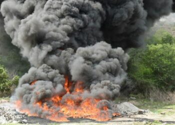 Fiscalía destruye cerca de 120,000 gramos de droga incautada por autoridades de Seguridad