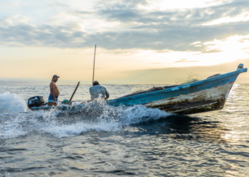 Pescadores afectados por vedas de camarón serán beneficiados con paquetes alimentarios