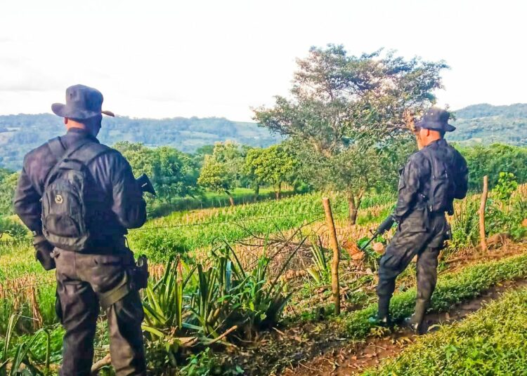 PNC realiza patrullajes preventivos en La Libertad