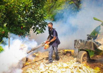 Protección Civil realiza jornada de fumigación en La Paz